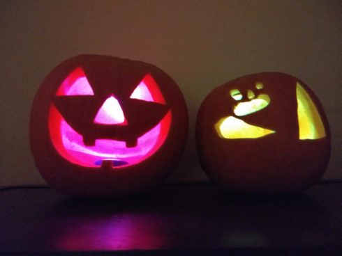 ハロウィン かぼちゃ 2個 本物 ジャック・オー・ランタン 38
